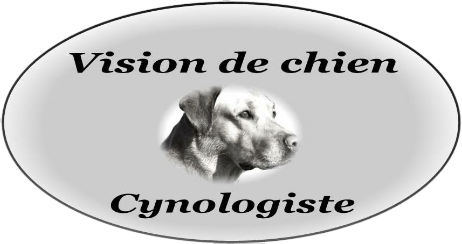 logo Vision de chien